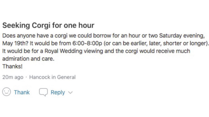 Best of Nextdoor - corgi