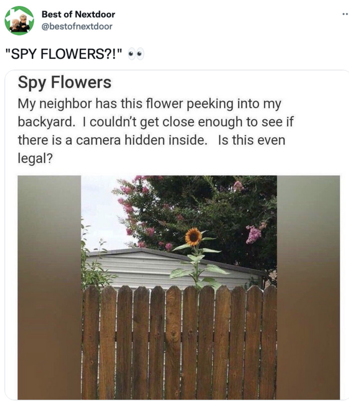 Best of Nextdoor - spy flowers