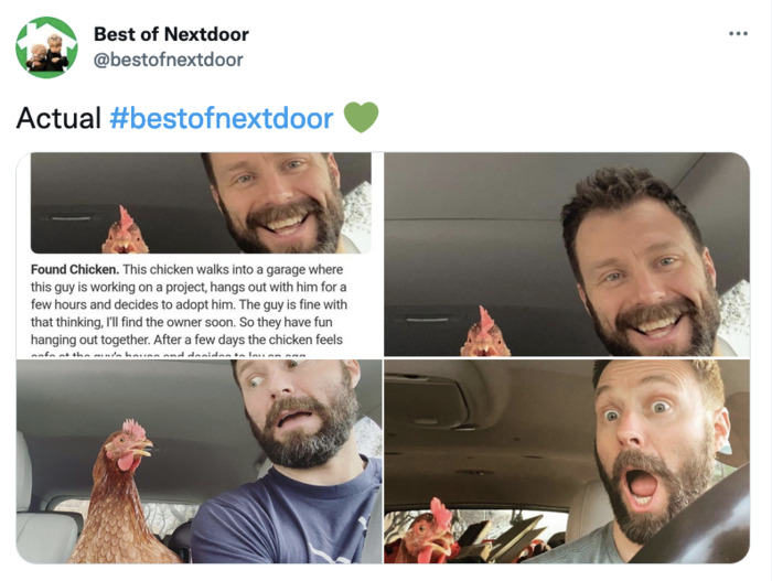 Best of Nextdoor - chicken