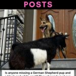 Best of Nextdoor