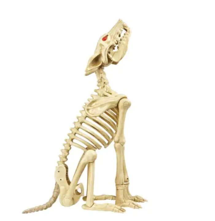 Home Depot Halloween 2022 - Howling Wolf Skeleton
