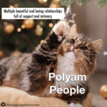Relationship Skills Monogamy Polamory - communication