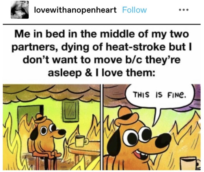 Relationship Skills Monogamy Polamory - overheating