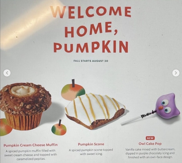 Starbucks Fall Menu 2022 - Pumpkin Food and Owl Cake Pop