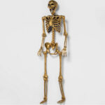 Target Halloween Hyde Eek 2022 - golden skeleton