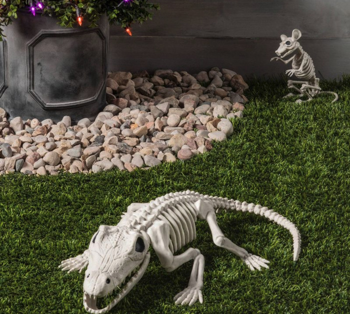 Target Halloween Hyde Eek 2022 - skeleton alligator