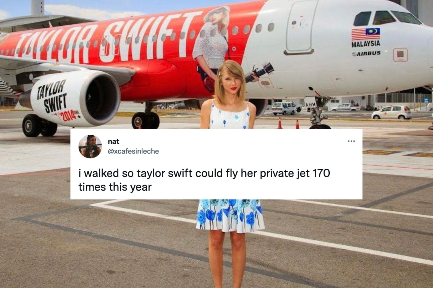 Taylor Swift Plane Meme