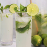 Tropical Cocktails - Coconut Mojito