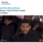Usher Memes - Harry Potter and Voldemort