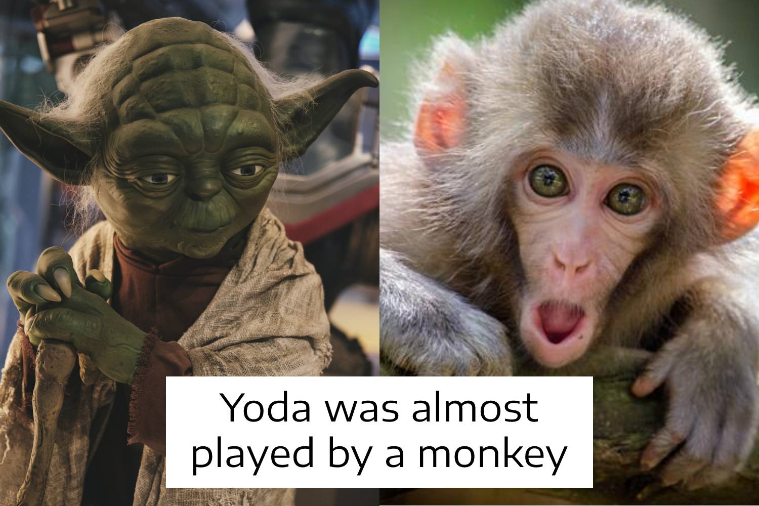 Weird Facts