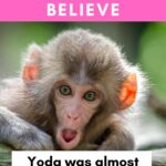 Weird Facts