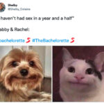 Bachelorette 2022 Memes - sex