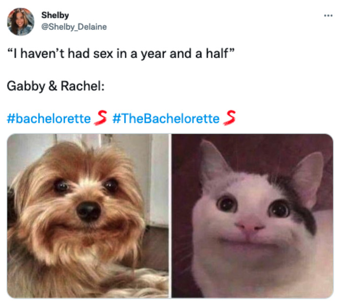 Bachelorette 2022 Memes - sex