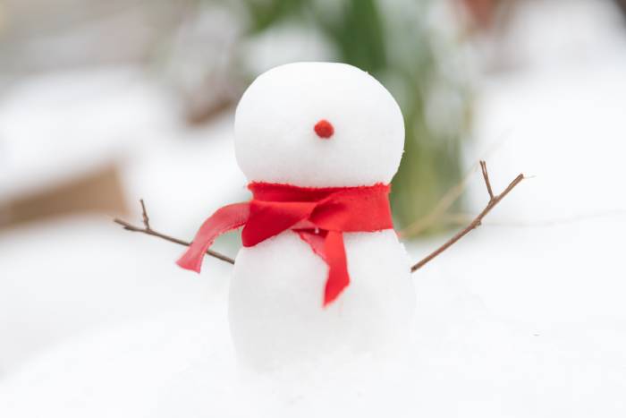 Bad Jokes - snowman