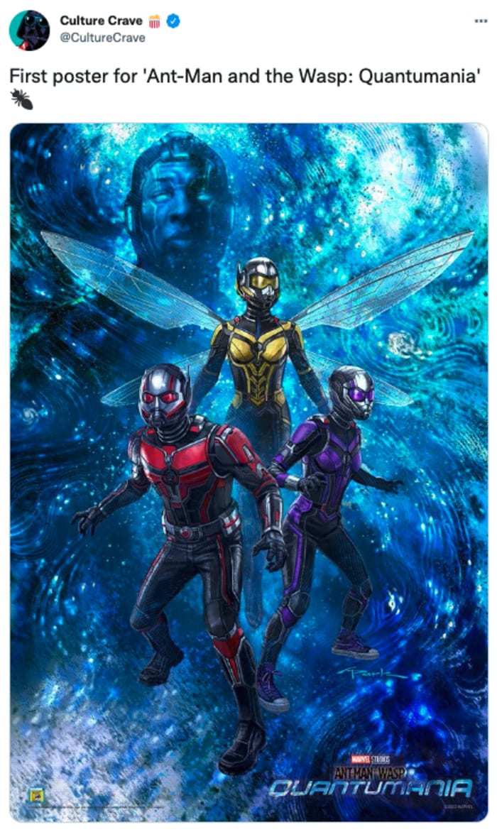 Marvel Timeline Phase 5 and 6 Multiverse Saga - Ant-Man and the Wasp Quantumania
