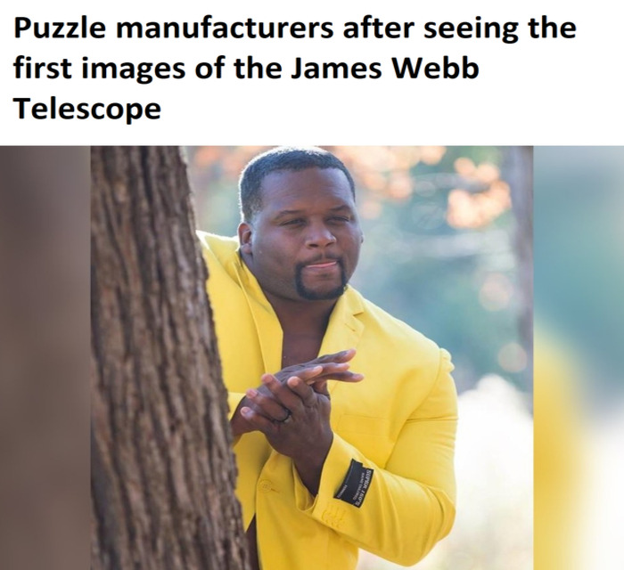 Webb Telescope Memes Tweets - puzzle
