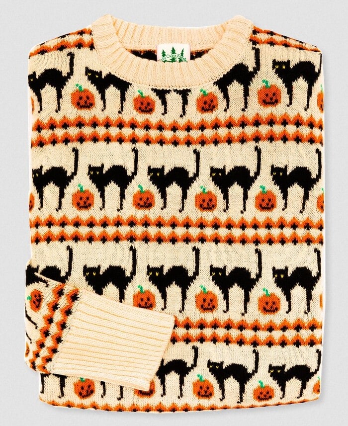 Best Halloween Sweaters - Scaredy Cat Sweater