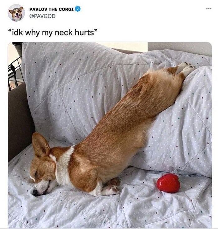 Clean Memes - neck pain
