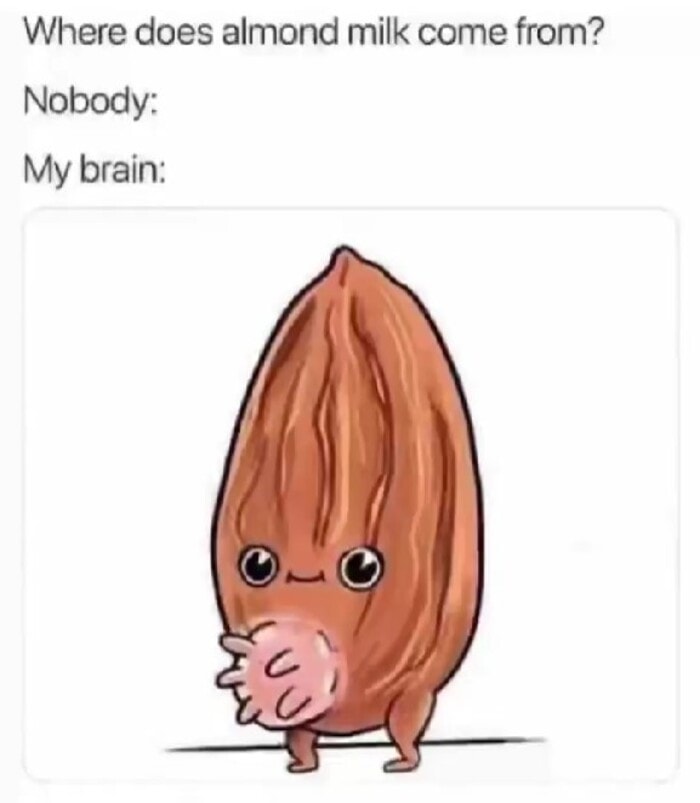 35 Clean Memes To Send to Everyone You Know - Let's Eat Cake 35 Clean Memes To Send to Everyone You Know - Let's Eat Cake