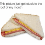 Clean Memes - sandwich