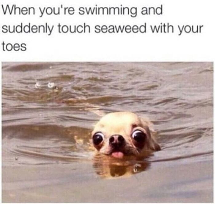 35 Clean Memes To Send to Everyone You Know - Let's Eat Cake 35 Clean Memes To Send to Everyone You Know - Let's Eat Cake