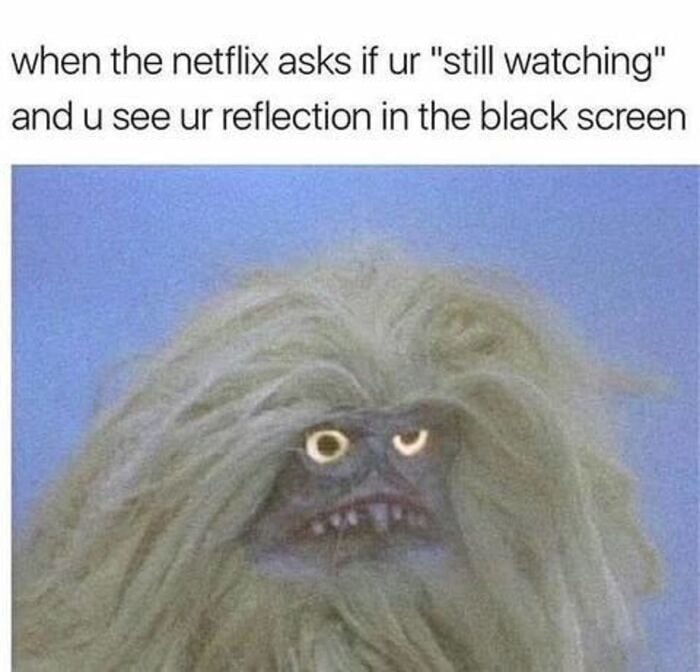 Clean Memes - Netflix