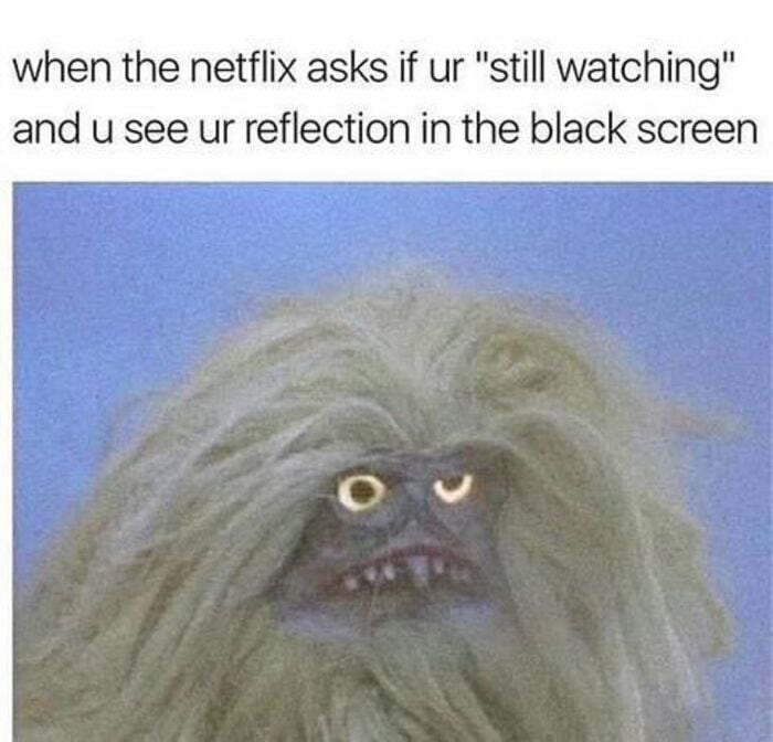 35 Clean Memes To Send to Everyone You Know - Let's Eat Cake 35 Clean Memes To Send to Everyone You Know - Let's Eat Cake