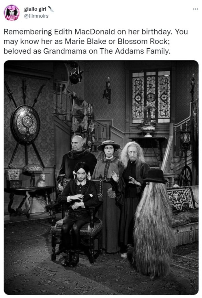 Shows About Witches - The Addams Family