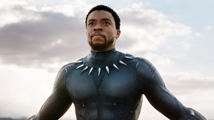 Wakanda Forever Trailer Easter Eggs - King T'Challa