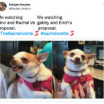 Bachelorette Finale 2022 Memes - Gabby vs Rachel proposals