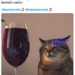 Bachelorette Finale 2022 Memes - giant glass of wine