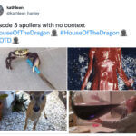 House of the Dragon Episode 3 Memes - spoilers no context
