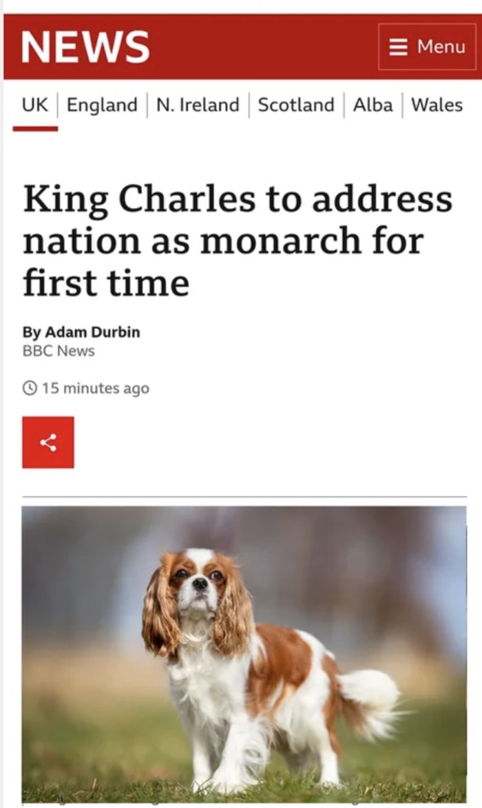 King Charles Memes Tweets - spaniel