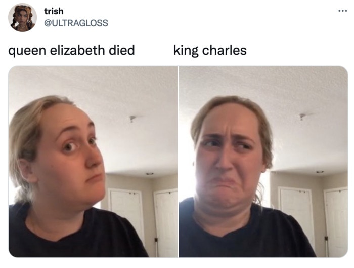 King Charles Memes Tweets - decision