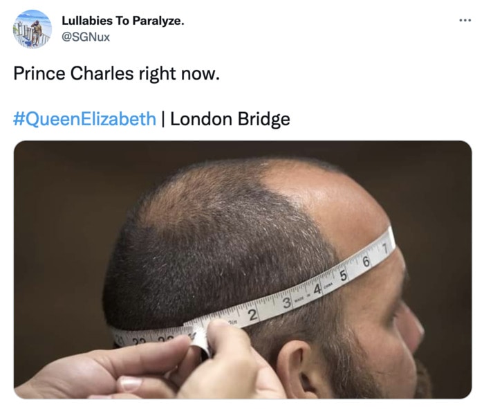 Queen Elizabeth II Death Memes Tweets - prince charles