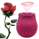 Rose Vibrator Review - pink toy