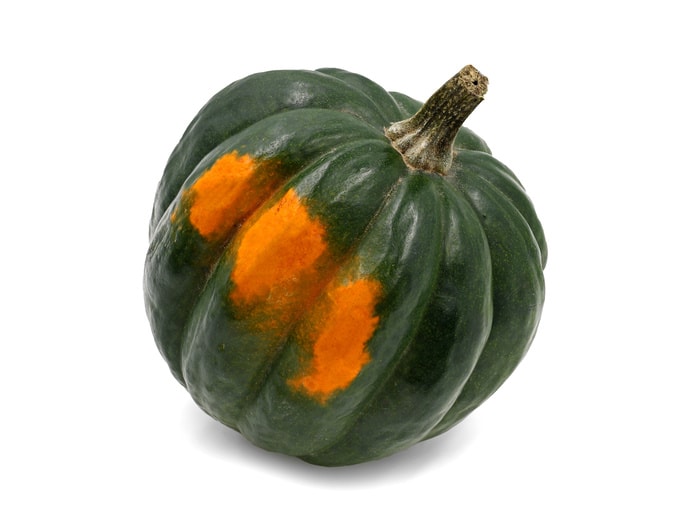 Trader Joe's Fall Items 2022 - acorn squash