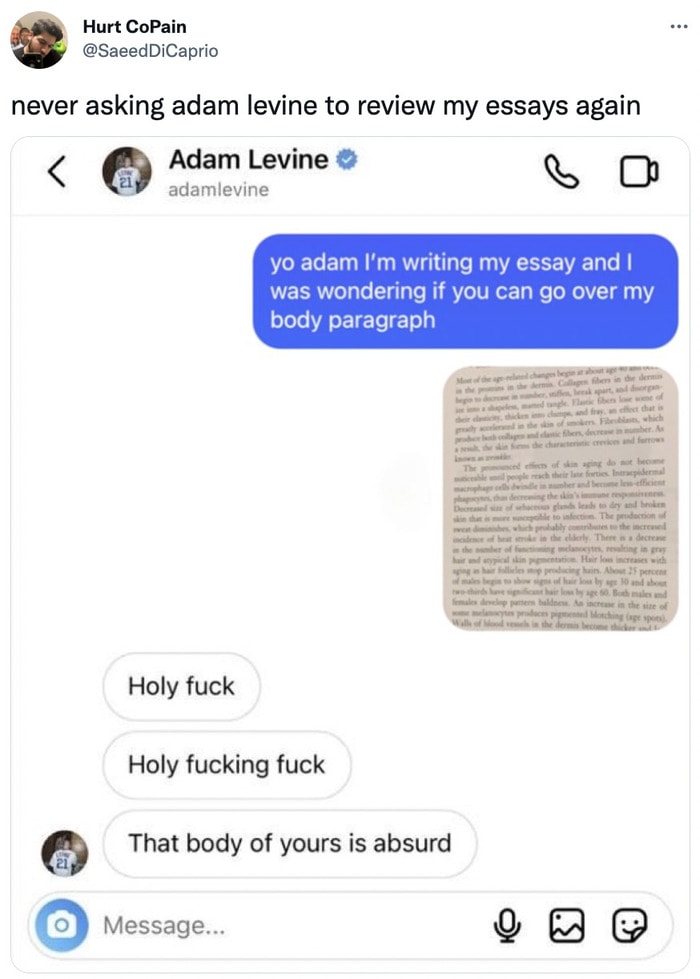 Adam Levine Text Memes Tweets - essay body