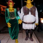 Couples Halloween Costumes 2022 - Shrek and Fiona