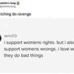 Do Revenge Memes Tweets - support womens wrongs