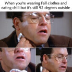 Fall Memes - seinfeld