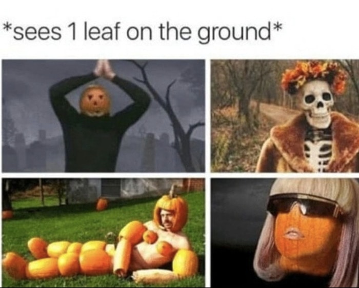 Fall Memes - first leaf on the ground