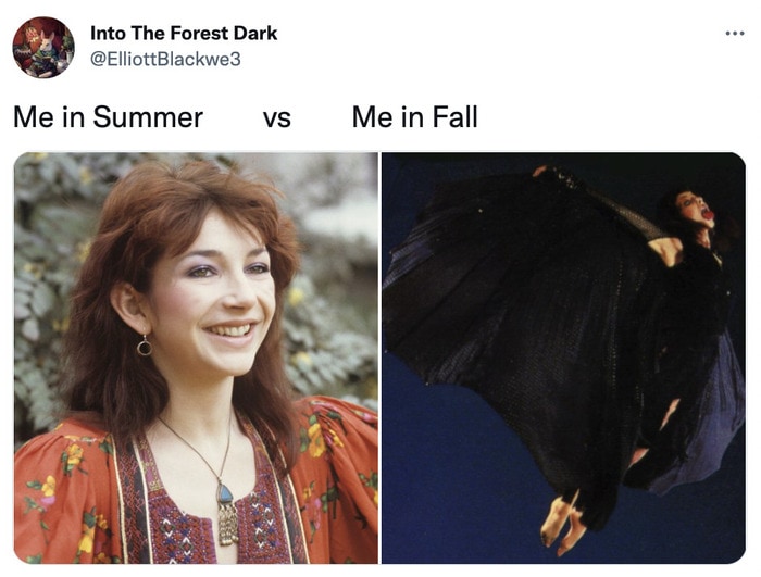 Fall Memes - summer vs fall