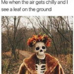 Fall Memes - fall skeleton
