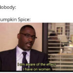 Fall Memes - the office