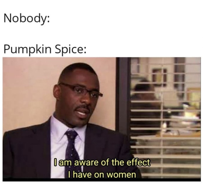 Fall Memes - the office