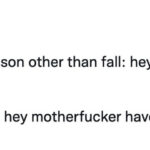 Fall Memes - summer vs fall have a good weekend