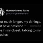 Fall Memes - not much longer hoodies