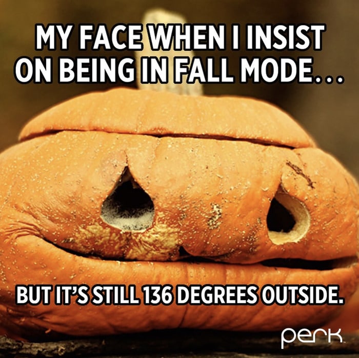 Fall Memes - melting pumpkin