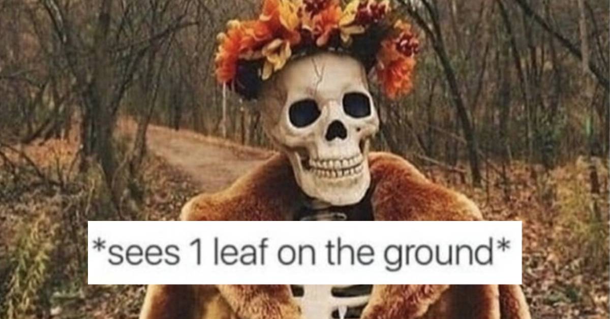 Fall Memes